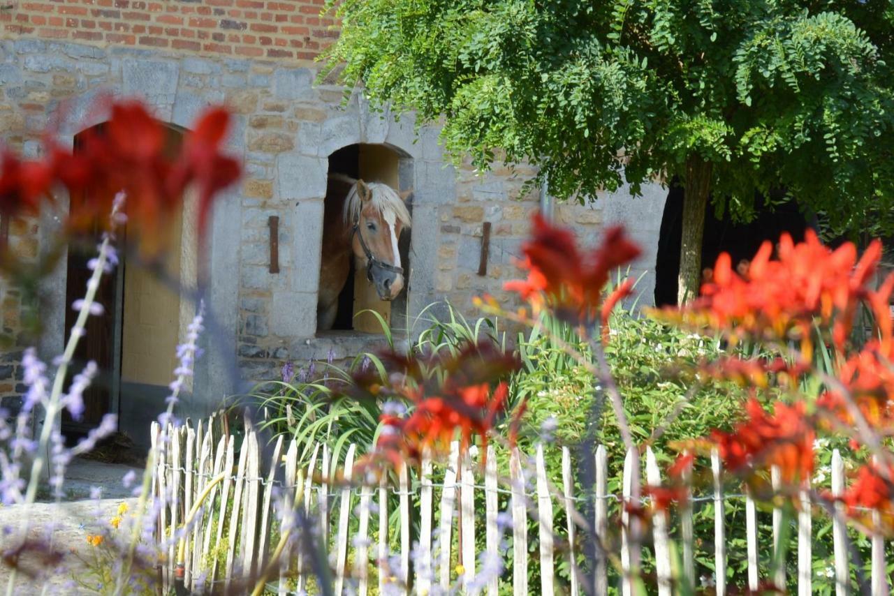 Bed and Breakfast Aux 4 Saules De 4 Wilgen Modave Zewnętrze zdjęcie